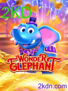 Conheça o Fascinante Jogo WonderElephant e Descubra as Aventures do 2KD